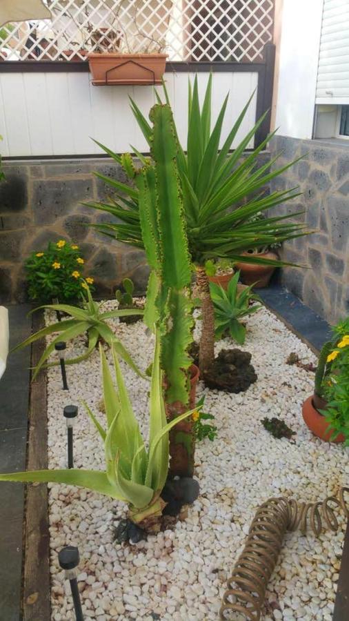 Elegant Villa In Corralejo Ngoại thất bức ảnh